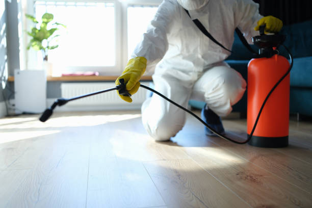 Trusted Unattended Death Cleanup service in Marissa, IL - Four Month Blood Cleanse